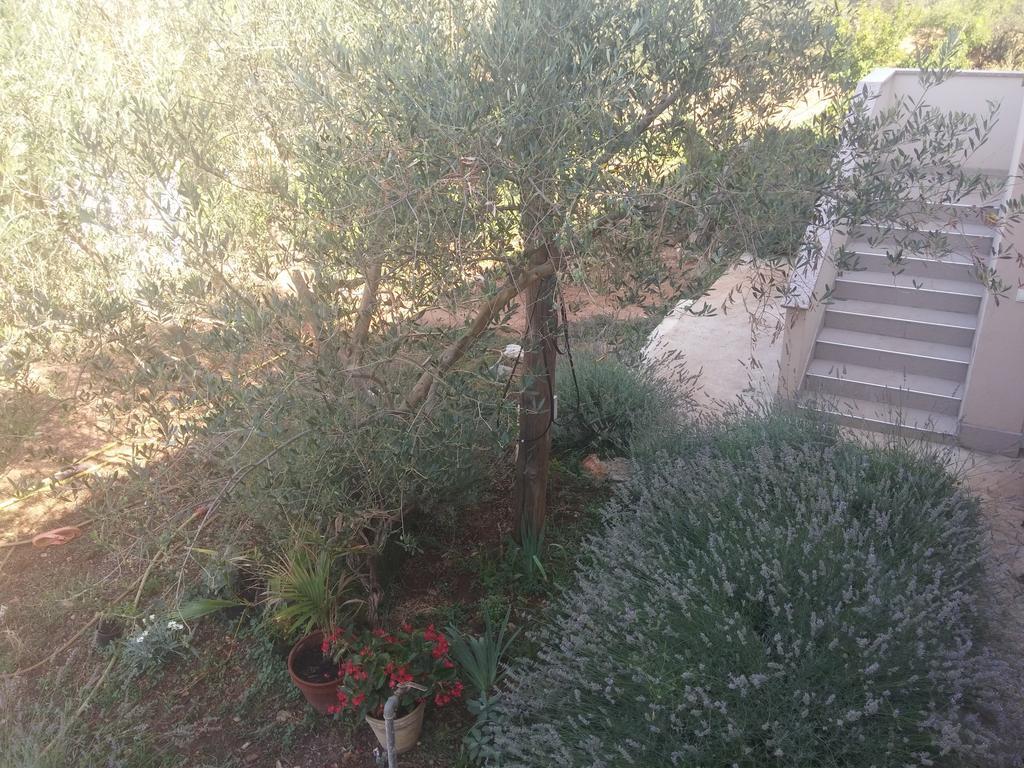 Apartment Emi Sukošan Pokoj fotografie